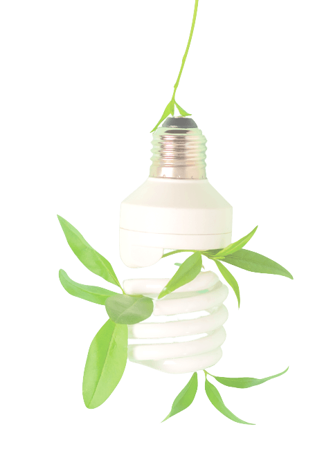 sustainability
